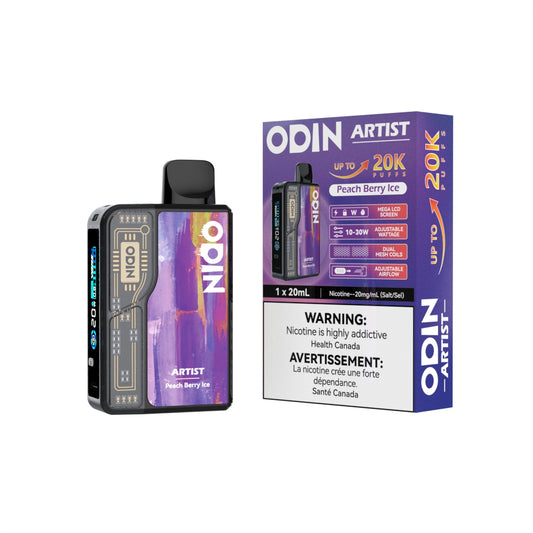 ARTIST Peach Berry Ice kit+pod 20K Puffs